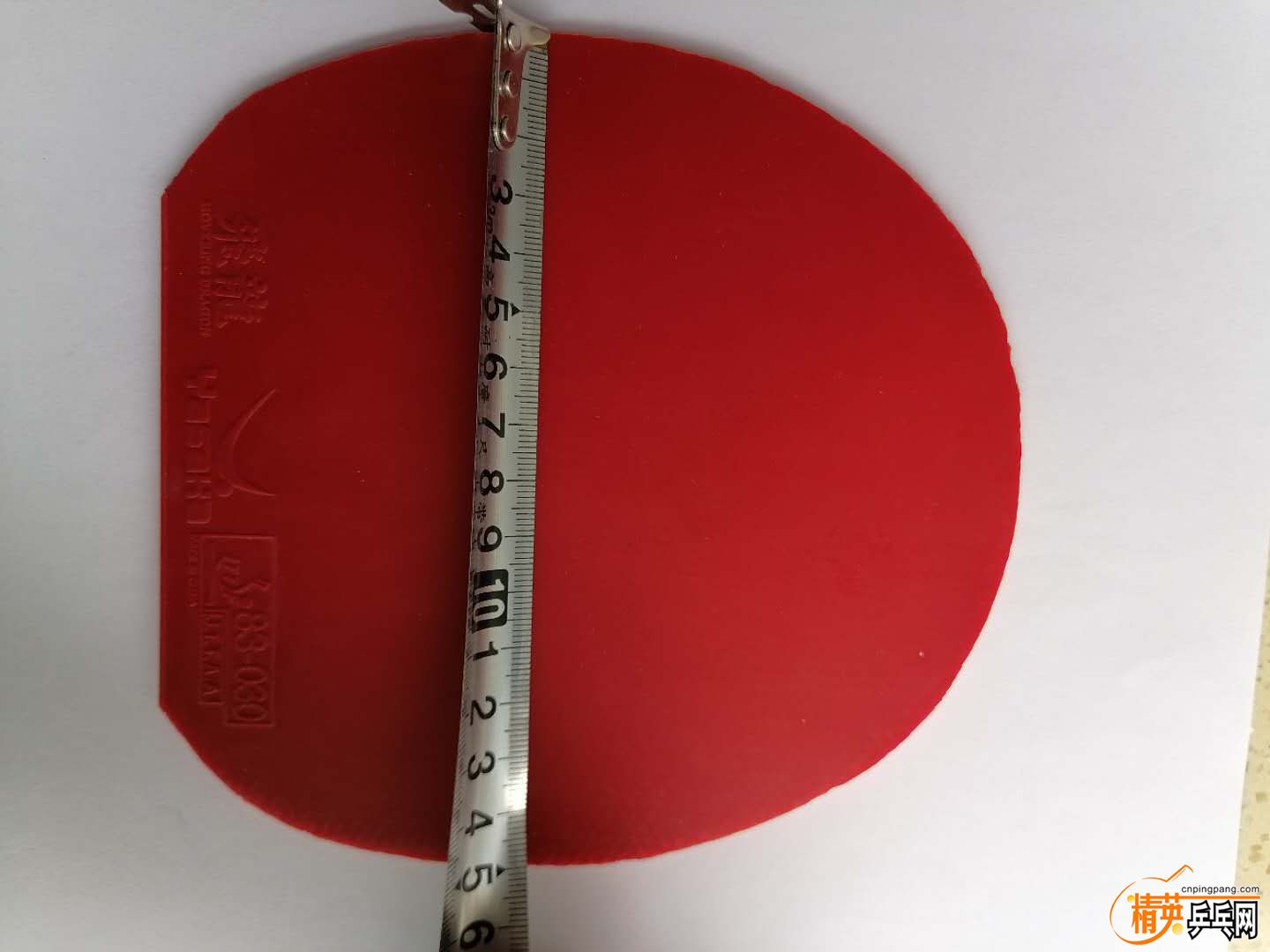 4703522.jpg