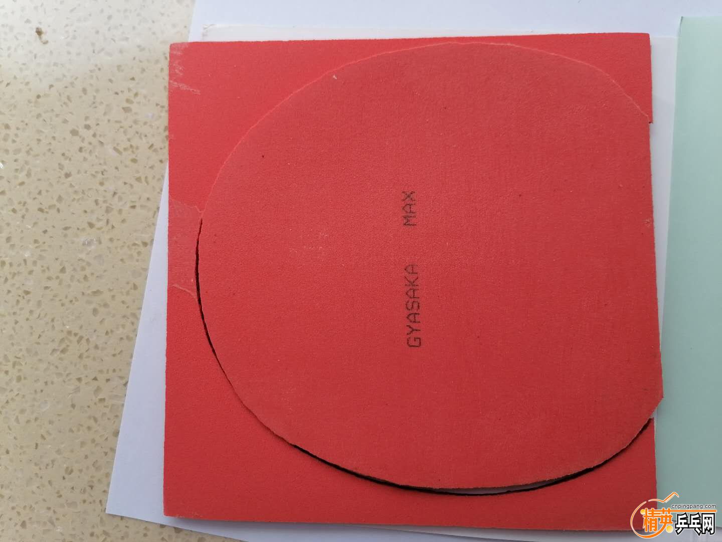 1037575410.jpg