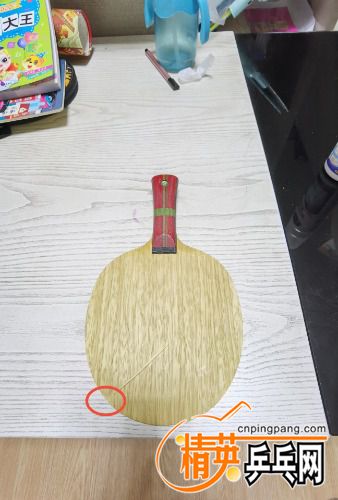 IMG_20200830_222100.jpg