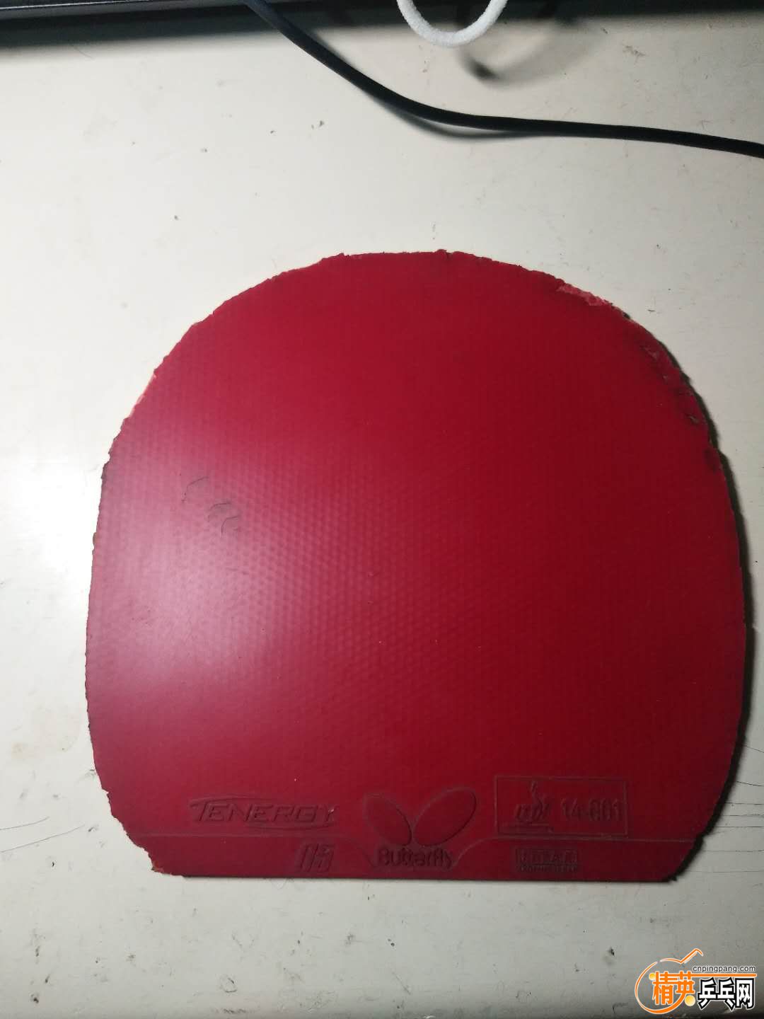 fdd806c6c1e04ada214c13f21a74f95.jpg