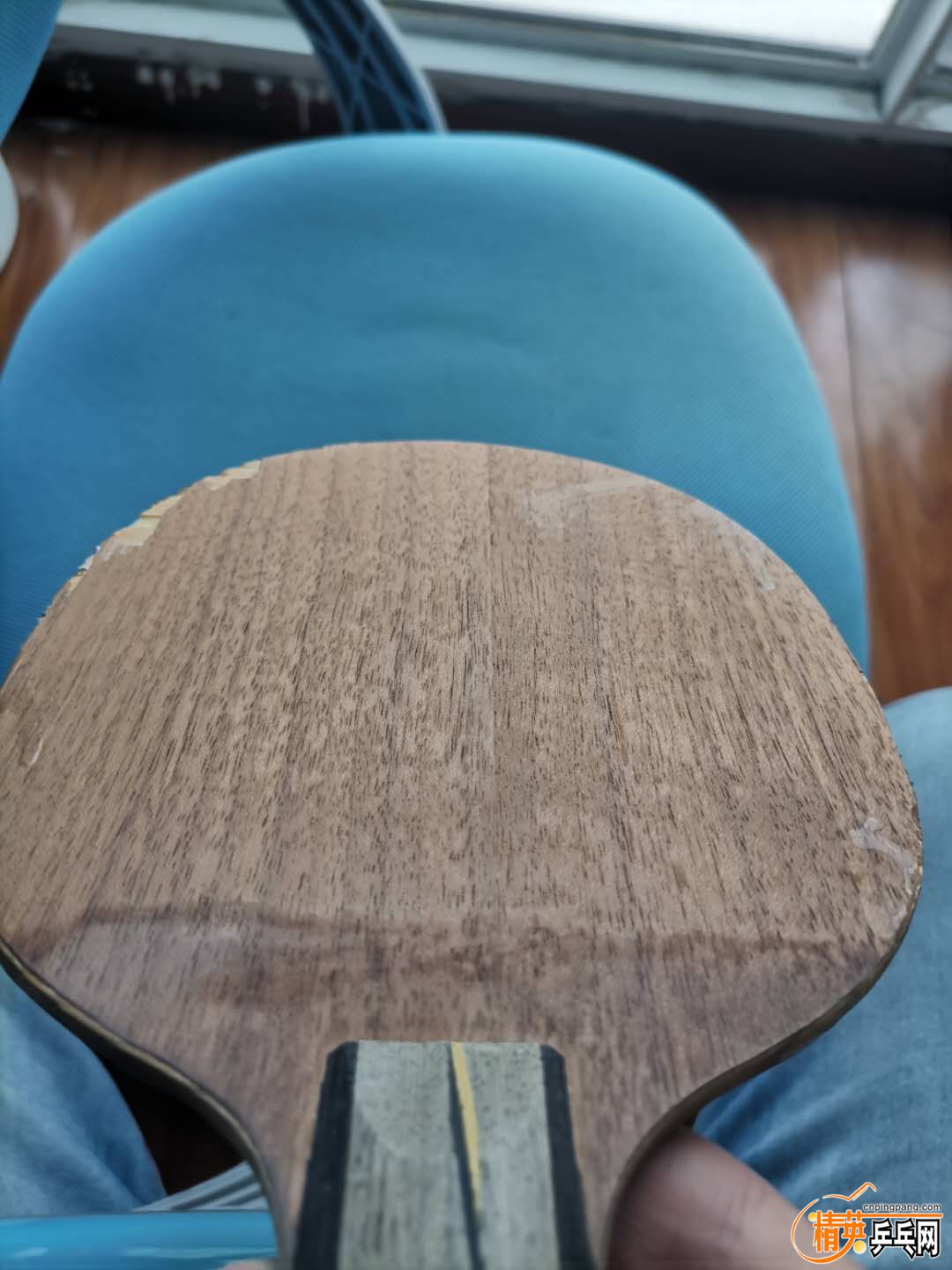 48995603.jpg