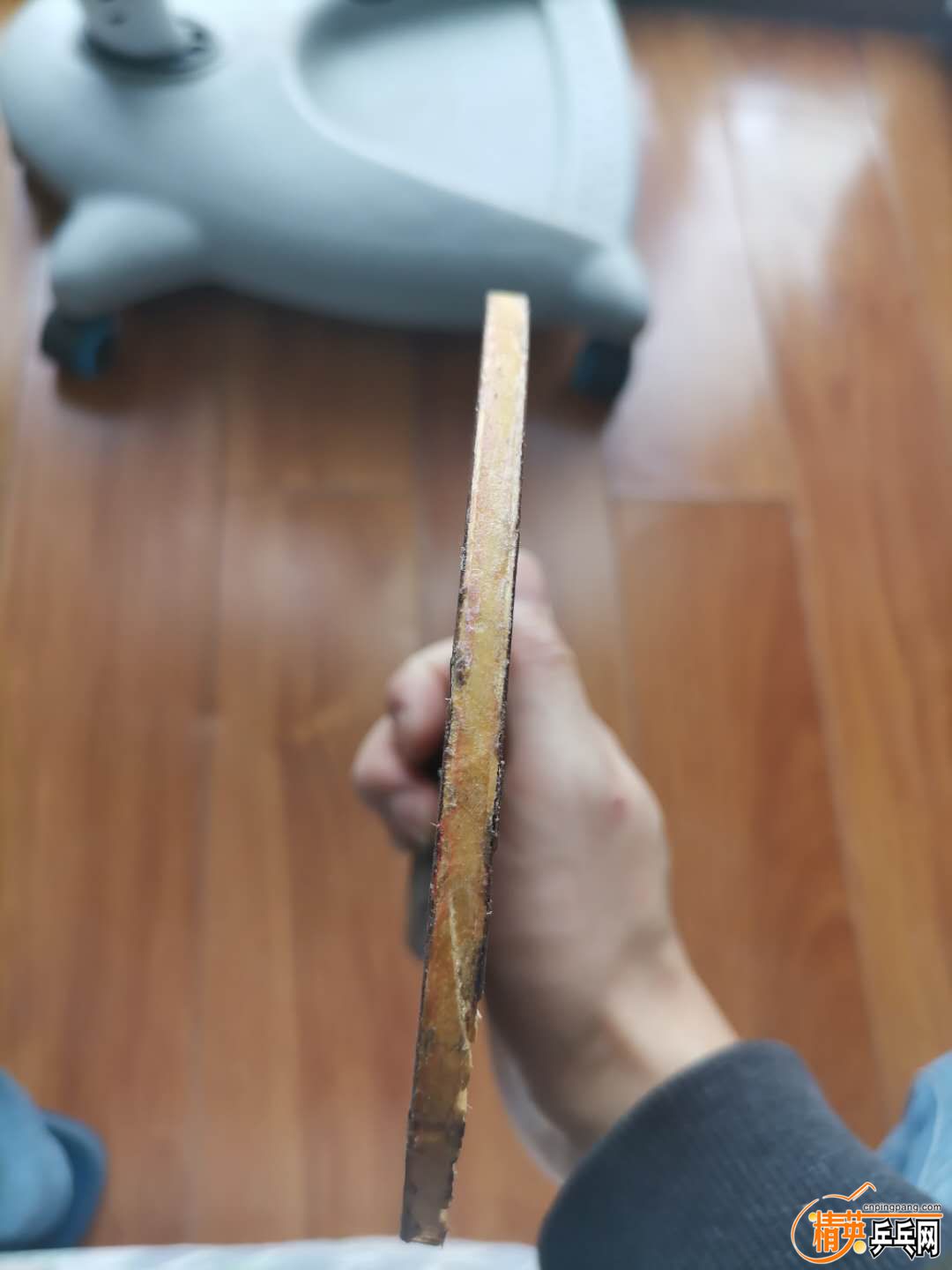 532907376.jpg