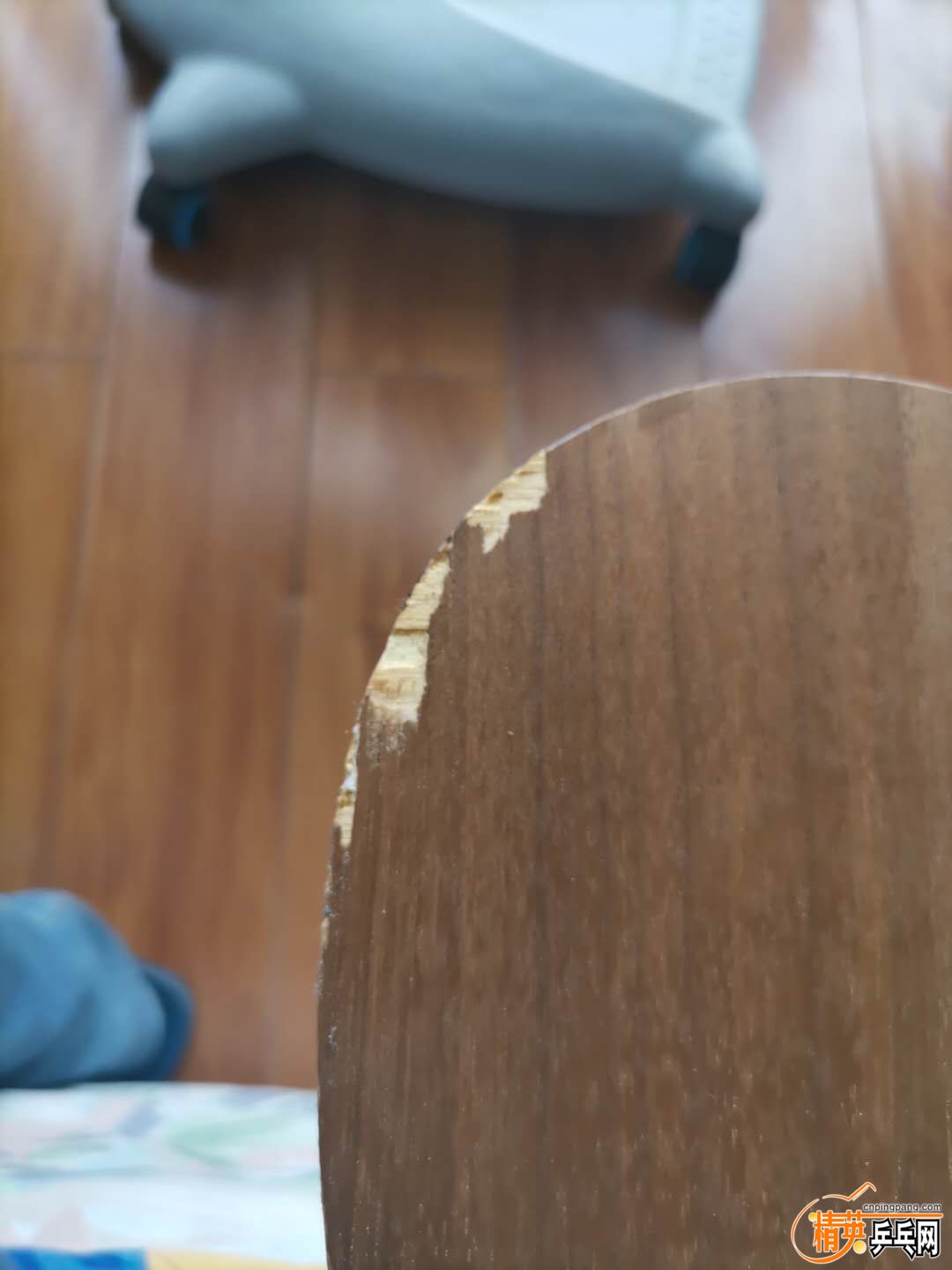 691130556.jpg