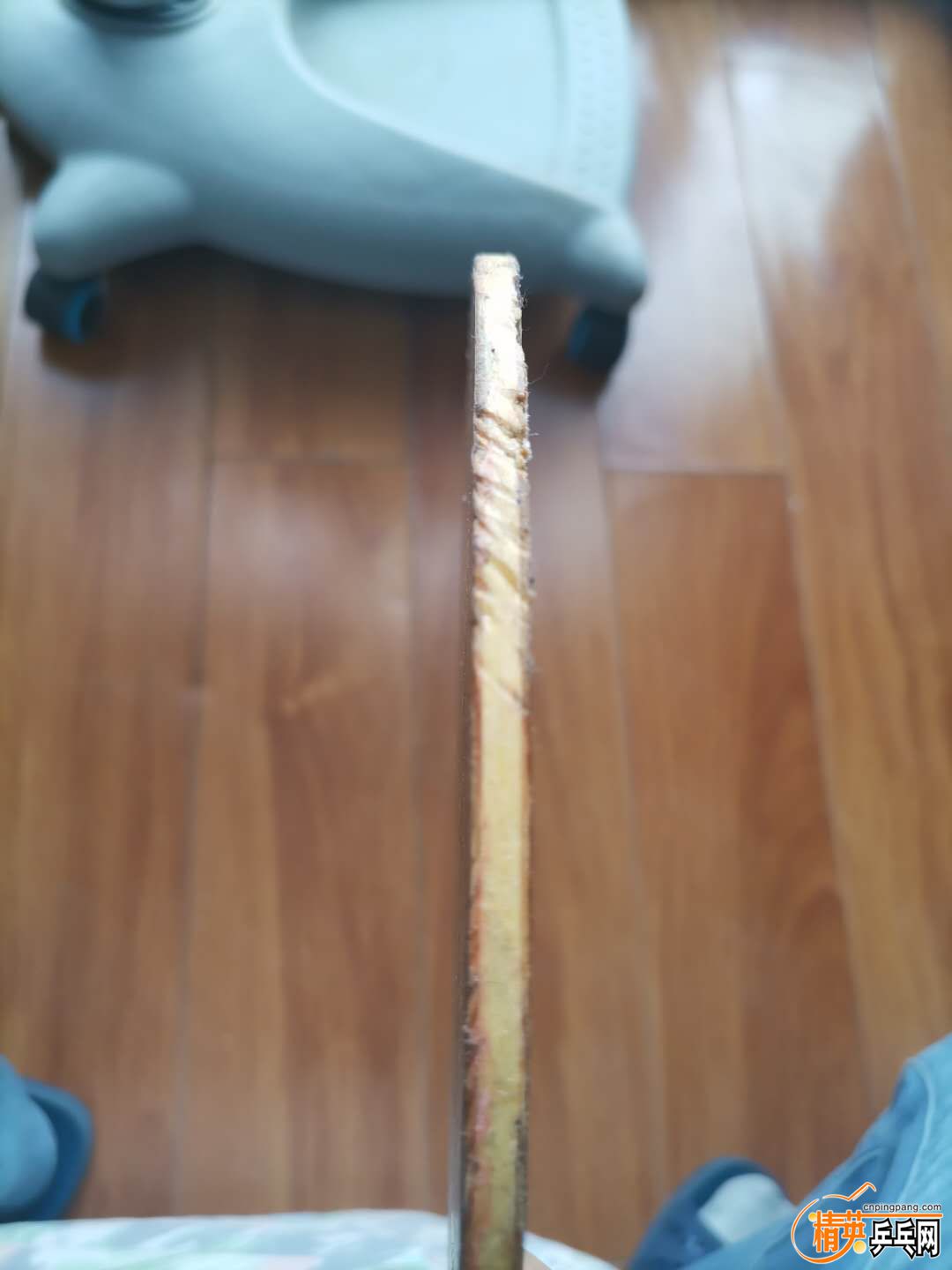 970105169.jpg