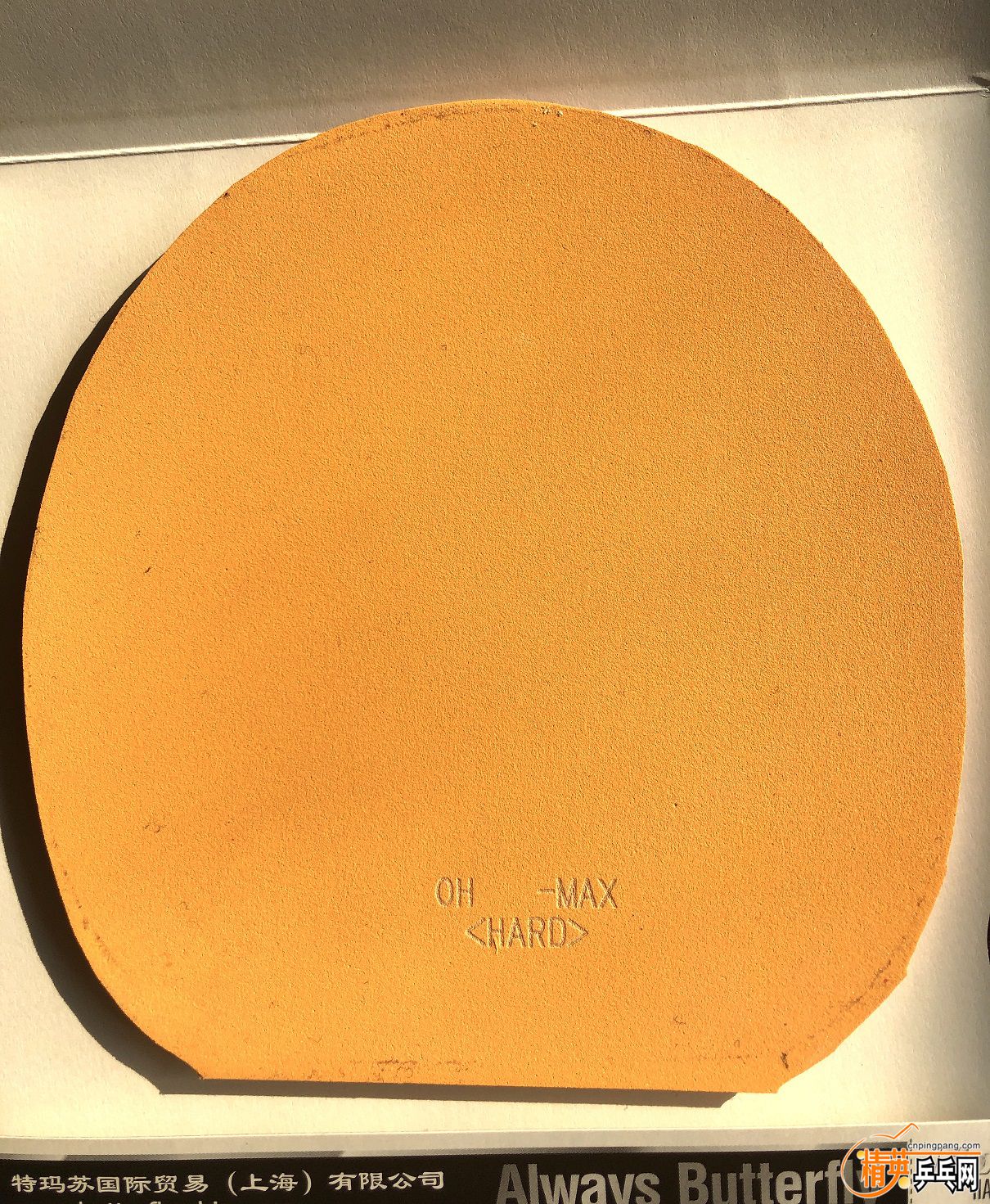 1782357862.jpg