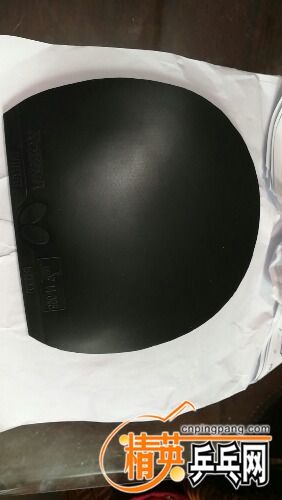 wx_camera_1608868546929.jpg