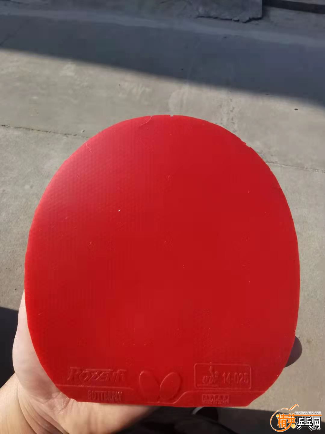 44e358cbb83b384117d549c5f9d2123.jpg