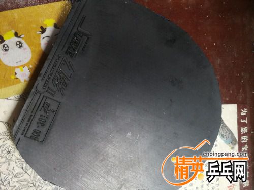 IMG_20210205_171948.jpg