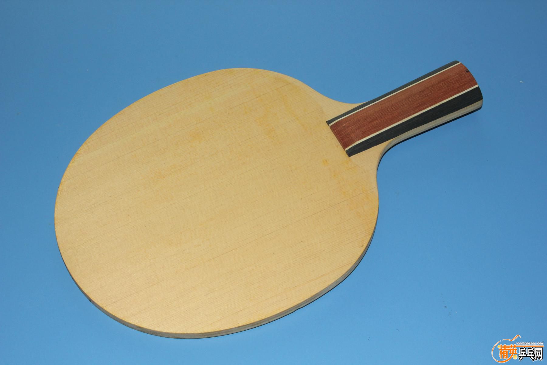 K1600_IMG_1031.JPG