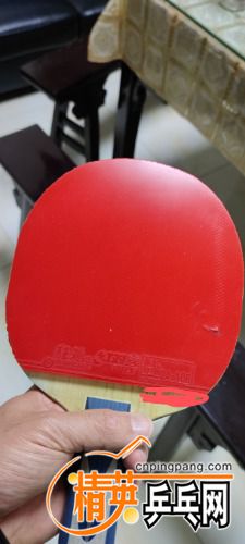 IMG_20210310_195501.jpg