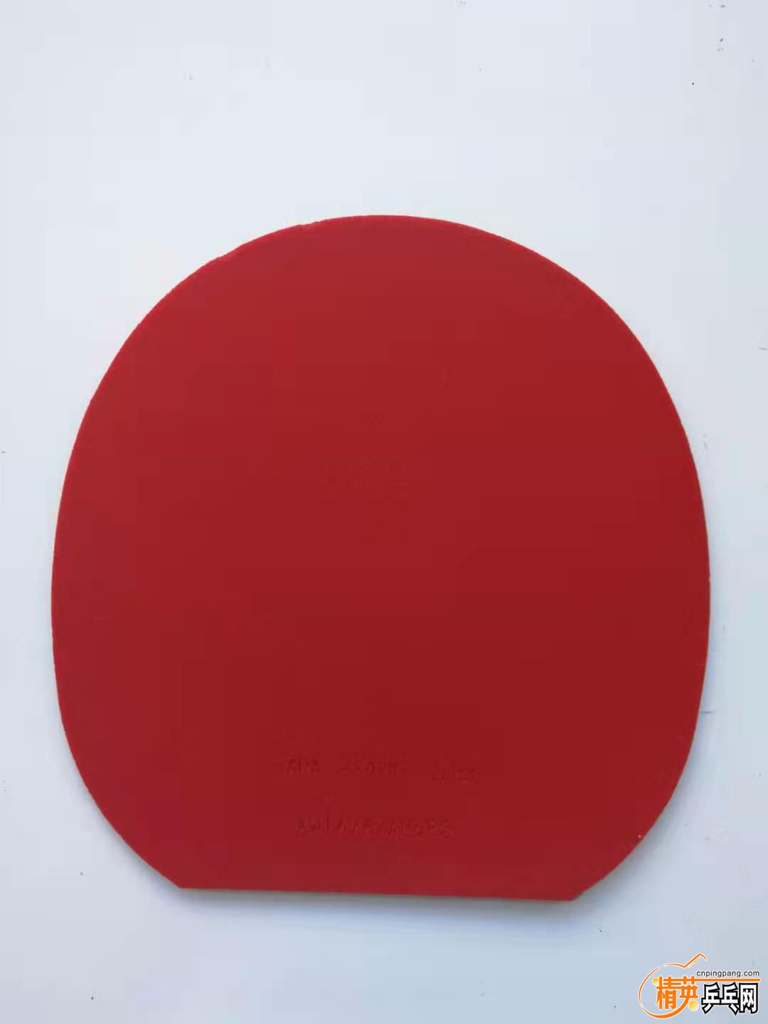 j1.jpg