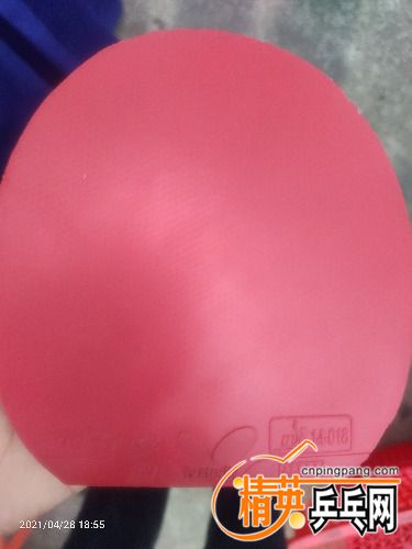 IMG20210428185559.jpg