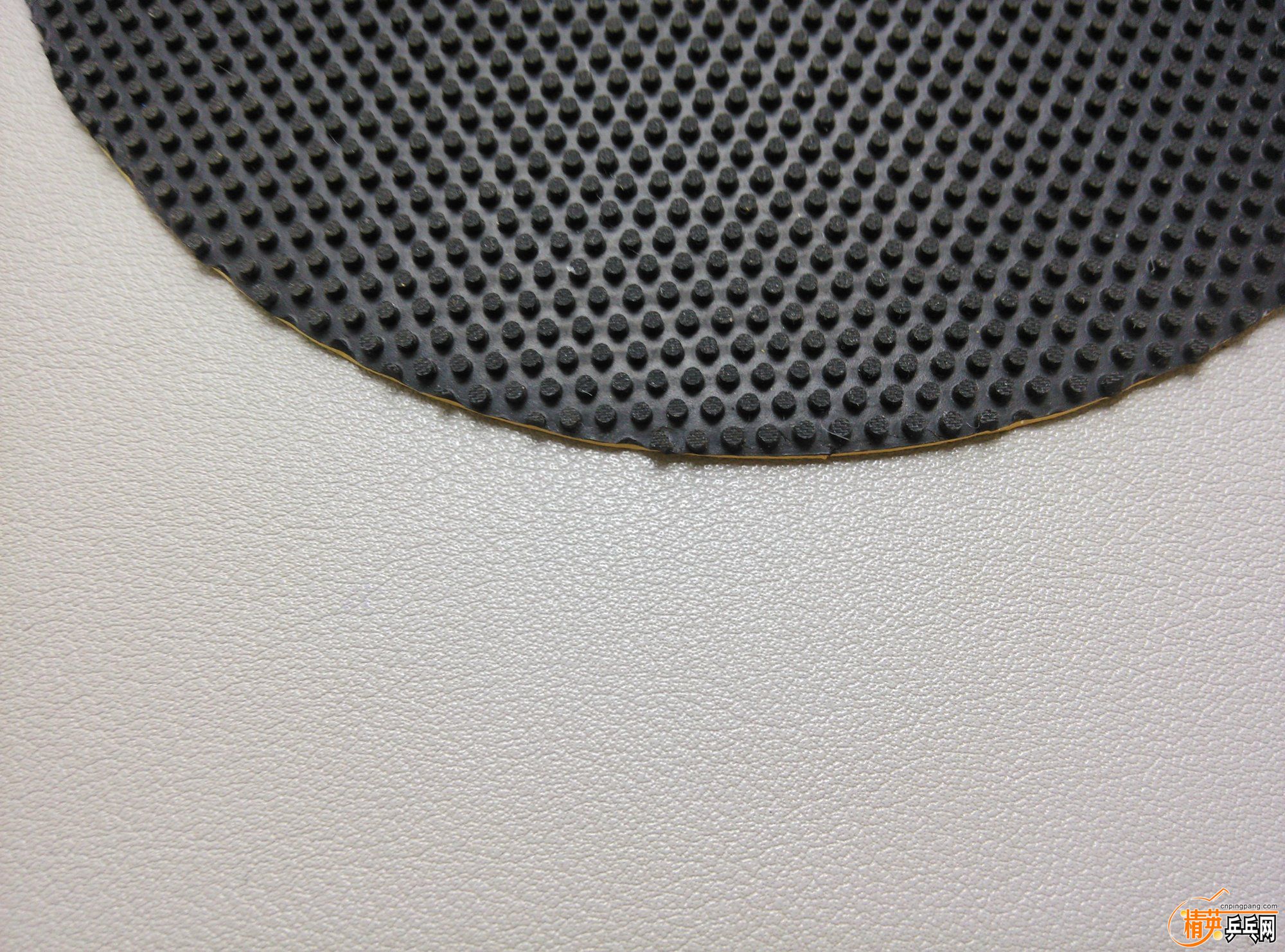 dsc_20503.jpg