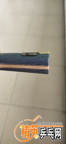 IMG_20210531_181614.jpg