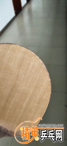 IMG_20210602_081313.jpg