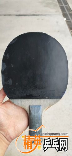 IMG_20210602_174635.jpg