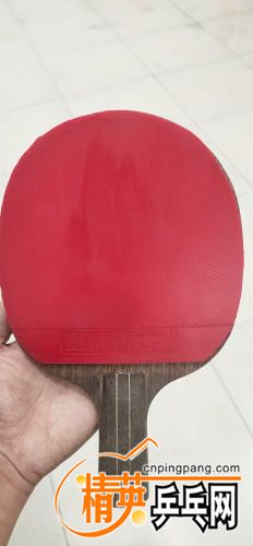 IMG_20210605_192249.jpg