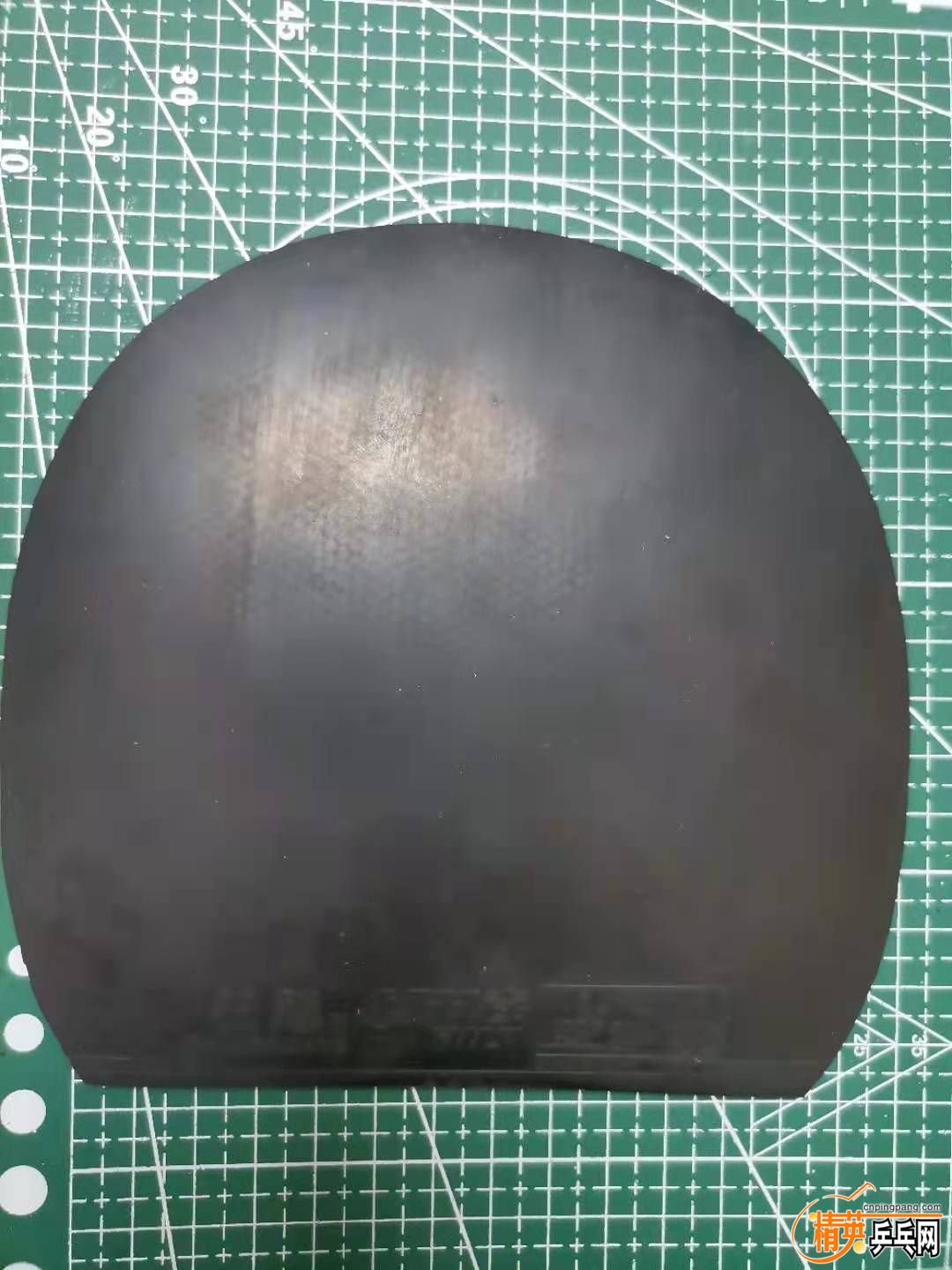 302578783.jpg