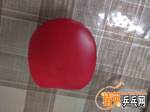 IMG_20210731_135927.jpg