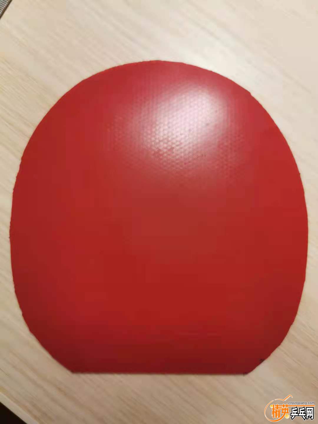 0f0b0f404151ed223b6611955e84221.jpg