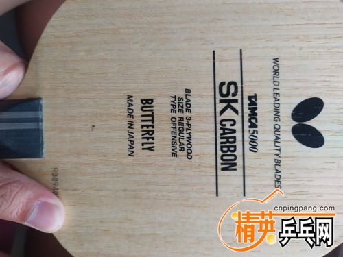 IMG_20210830_171329.jpg