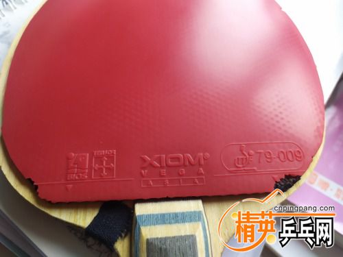 IMG_20210924_113409.jpg