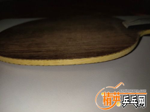 IMG_20211006_111007.jpg