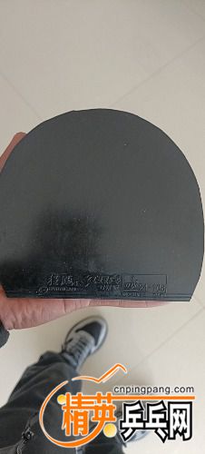 wx_camera_1633916651797.jpg