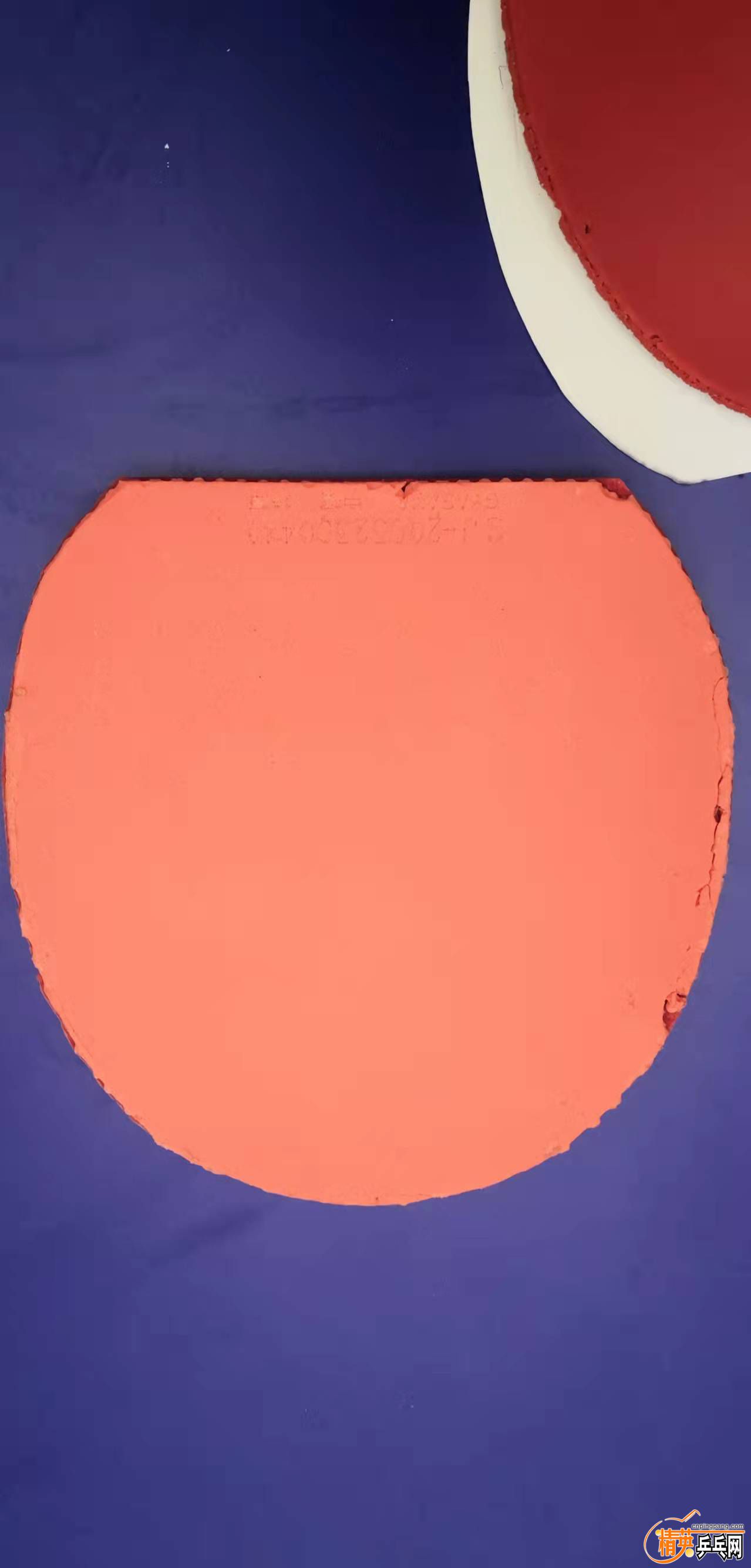 36030e9c7c693484a81854891fc2b89.jpg