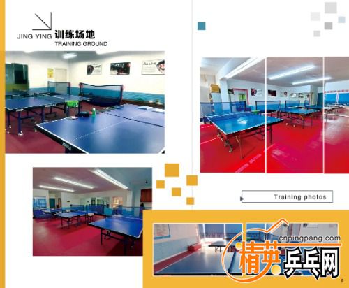 mmexport1639546201483.jpg