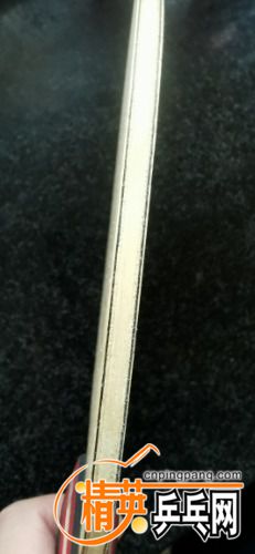 IMG_20220213_101853.jpg