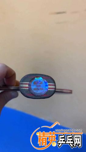1647144302238.jpg