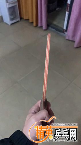 1647144278513.jpg