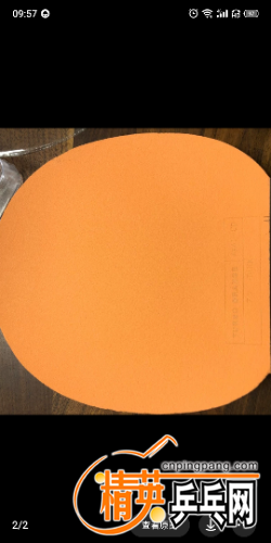 S20420-09575071.png