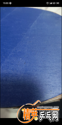S20420-15030068.png