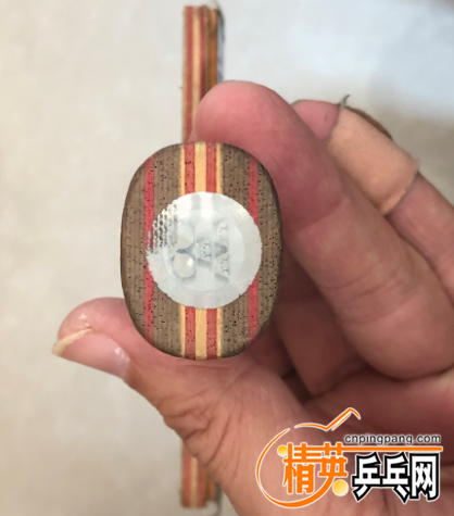 1651736089(1).png
