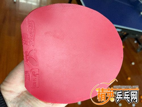 F2DDD1AA-2B5B-4E35-95A6-FC63D10B82D7.jpeg