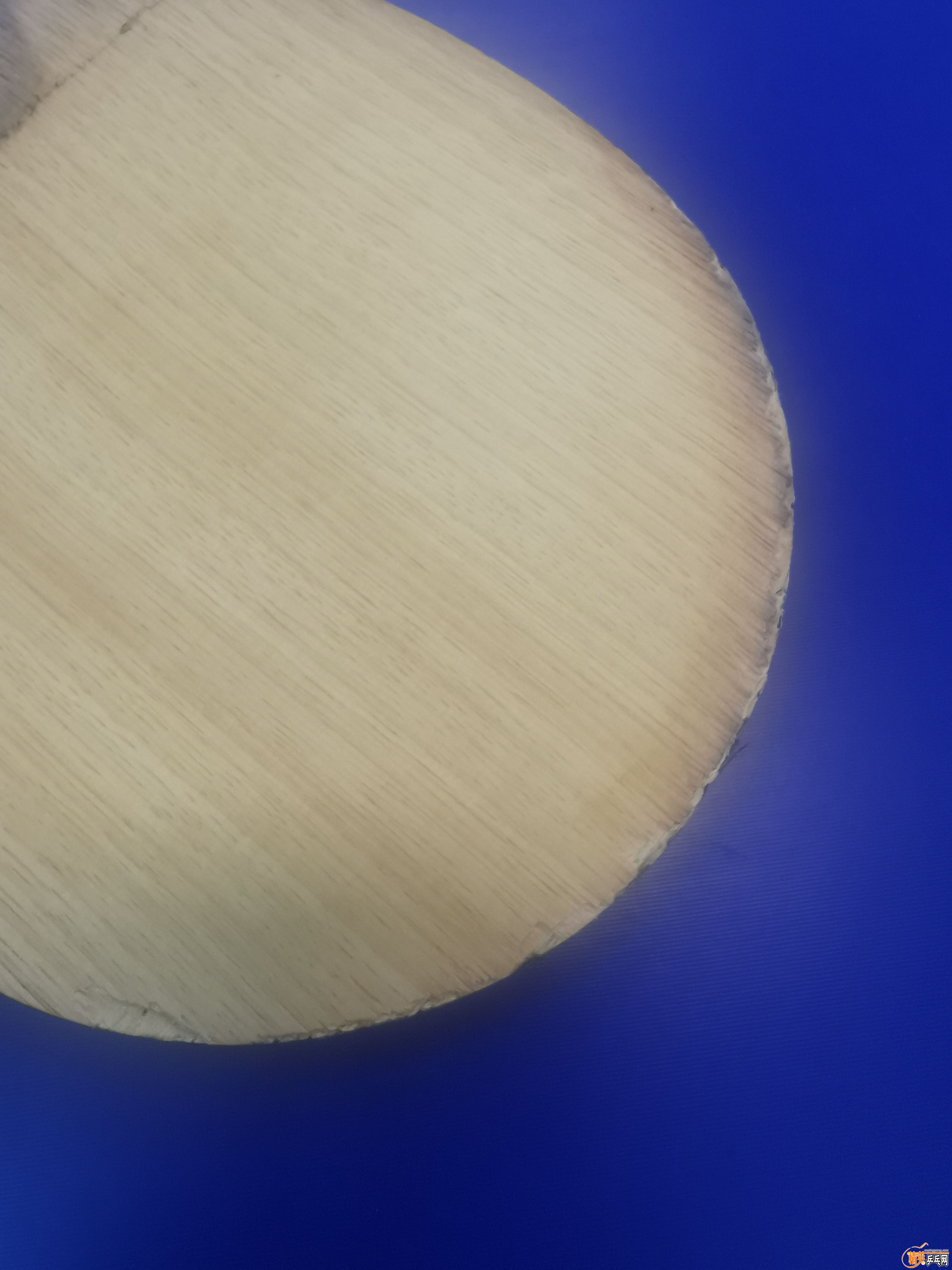 ΢ͼƬ_20221030022745.jpg