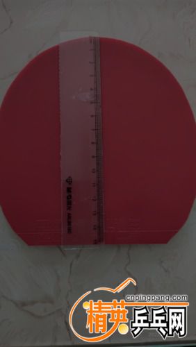 P30630-145536.jpg
