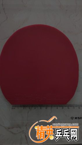P30630-145457.jpg
