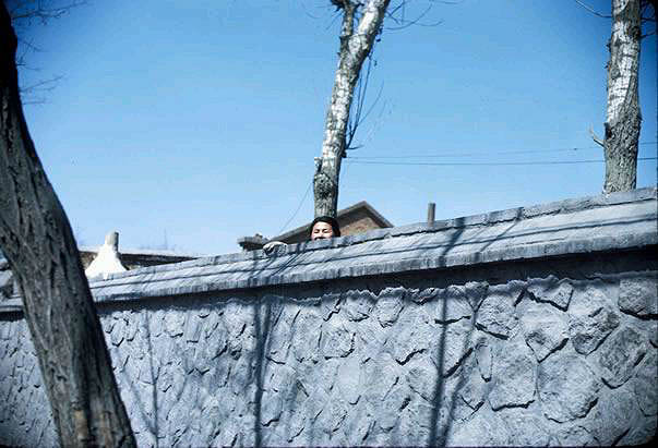 �����ϴ�ļ���