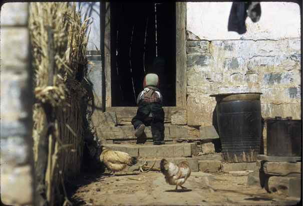 �����ϴ�ļ���