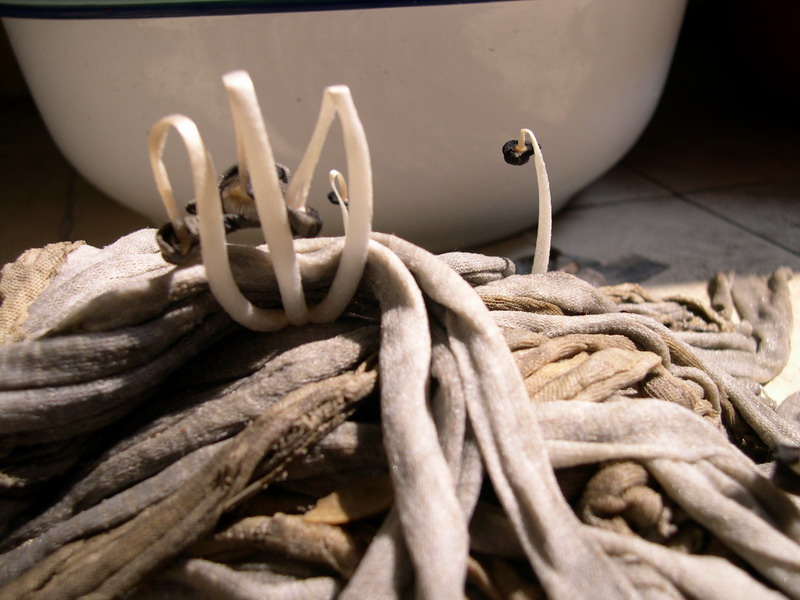 ��˵С���������סУ��