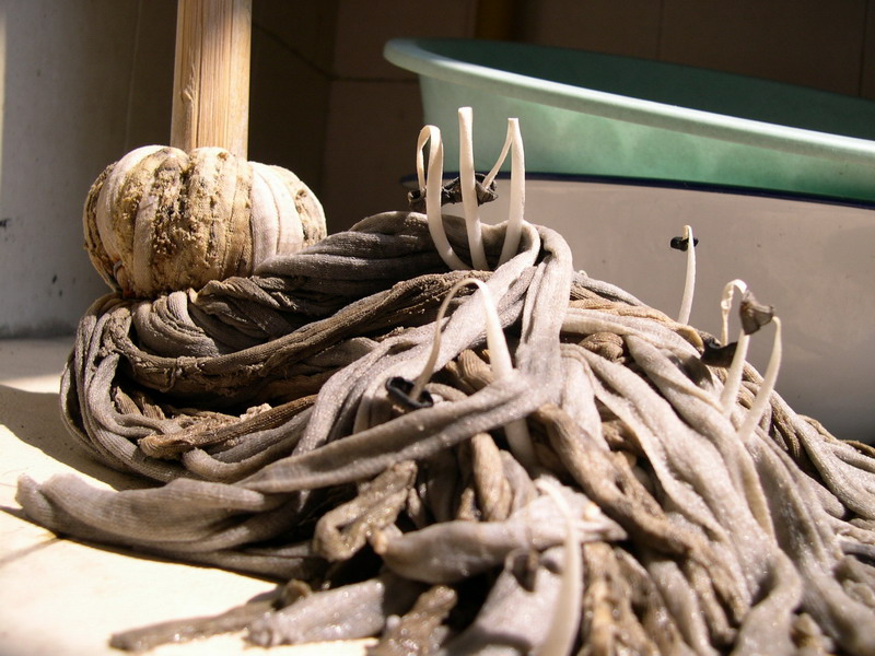 ��˵С���������סУ��