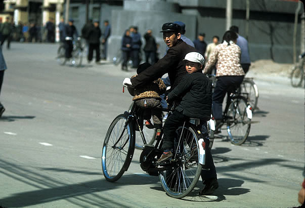 ����ֽ���ֱ���ƹЭҪ�Ƴ�ϵ�б��������ֲ�����֯�ۿ���