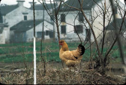 �����ϴ�ļ���