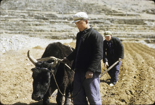 �����ϴ�ļ���