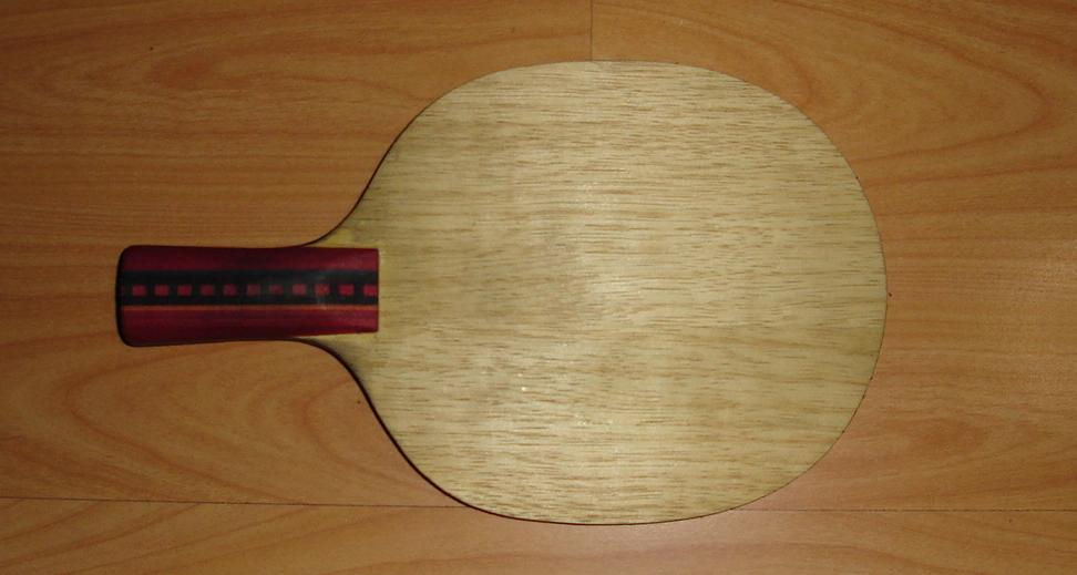 �ų���DONICׯֱ̿�ģ�300����