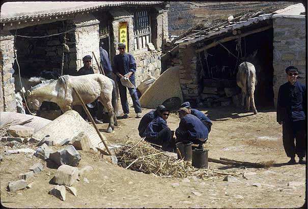 [��ˮ]���˵���Ϣ