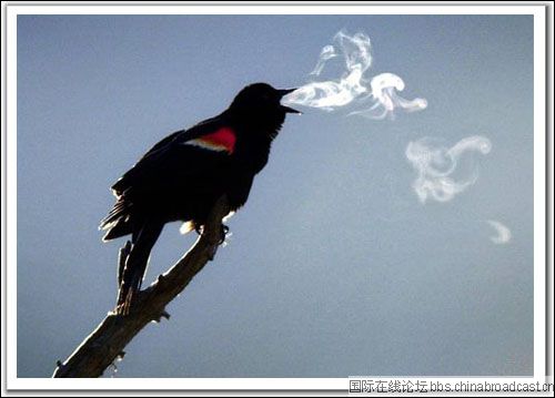 [��ˮ]���˵���Ϣ